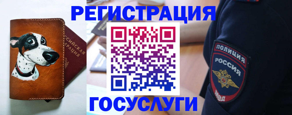 временная регистрация в квартире в Апатитах